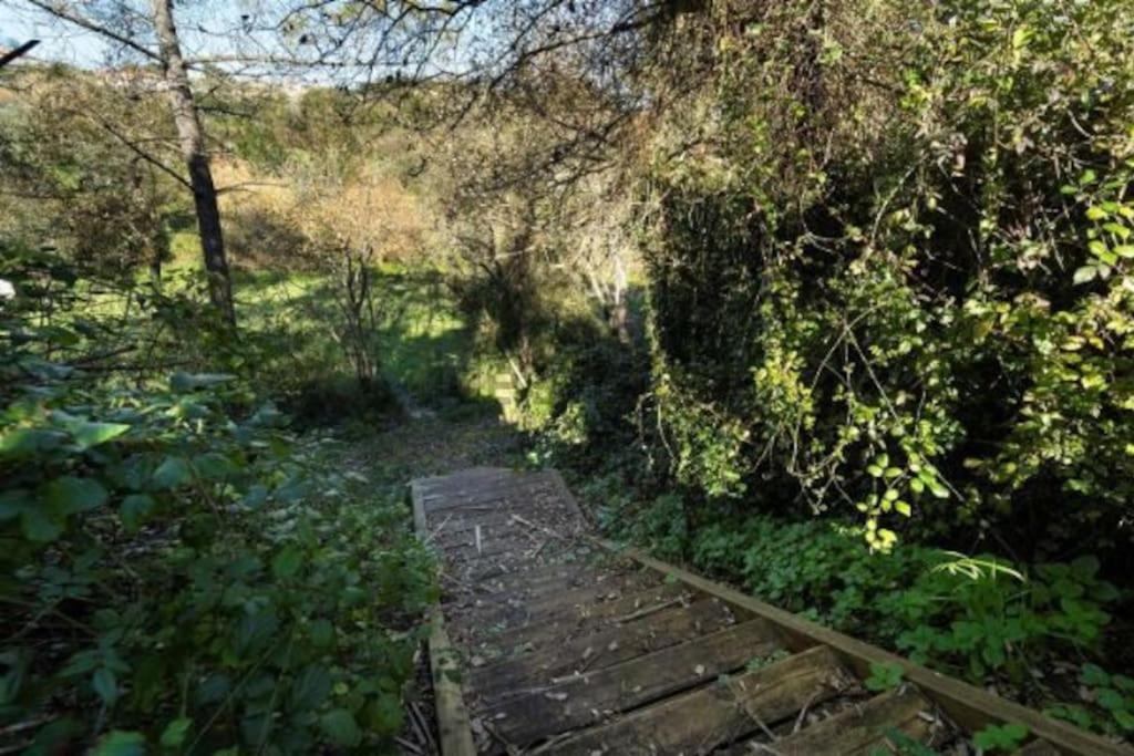 Quinta Boa Vida Villa Alcobaça Eksteriør billede